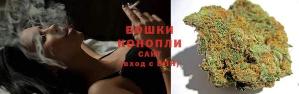 PSILOCYBIN Алексин