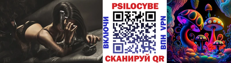 купить наркоту  Шуя  Галлюциногенные грибы Psilocybine cubensis 